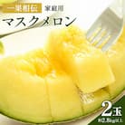【発送開始】メロン2玉入り 訳あり 家庭用 青肉メロン 青肉 tn-0025
