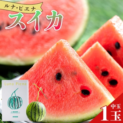 【発送開始】空中立体栽培で太陽の愛情をたっぷり受けた ルナ・ピエナスイカ(中玉) yu-0045