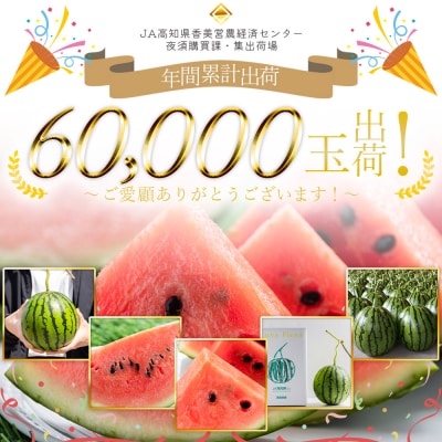 【発送開始】空中立体栽培で太陽の愛情をたっぷり受けた ルナ・ピエナスイカ(中玉) yu-0014