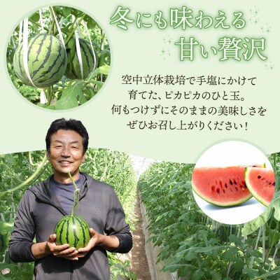 【先行受付】空中立体栽培で太陽の愛情をたっぷり受けた ルナ・ピエナスイカ(中玉) yu-0014