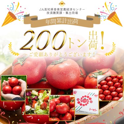 【2027年出荷】フルーツトマト 高知 2kg 夜須のフルーツトマト 先行受付 yu-0072