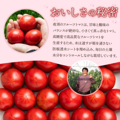 【2026年出荷分】フルーツトマト 高知 2kg 夜須のフルーツトマト 先行受付 yu-0018