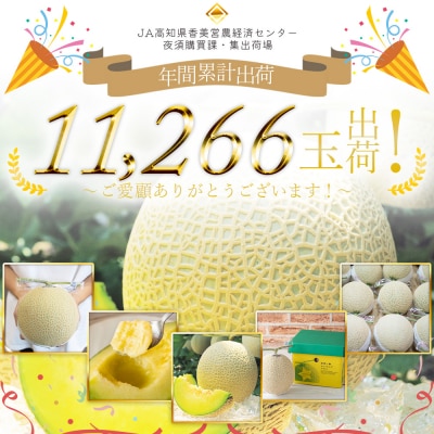 【先行受付】メロン1玉入り 夜須のエメラルドメロン 1玉 青肉メロン メロン 青肉 yu-0024