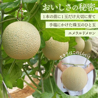 メロン1玉入り 夜須のエメラルドメロン 1玉 青肉メロン メロン 青肉 yu-0009