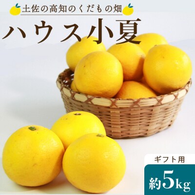 【先行受付】ハウス小夏(日向夏)約5kg(ギフト用) 土佐の高知のくだもの畑 kd-0010