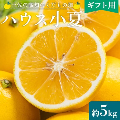 小夏 土佐小夏 日向夏 高知 温室 ハウス小夏 日向夏 約5kg 贈答用 kd-0032