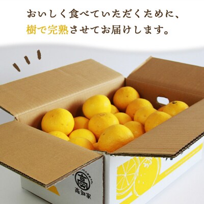 【先行受付】ハウス小夏(日向夏)約5kg(ギフト用) 土佐の高知のくだもの畑 kd-0010