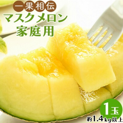 一果相伝マスクメロン家庭用　1玉入り　B-326