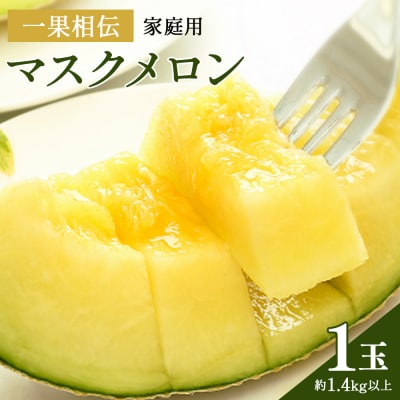 メロン 訳あり 1玉入り 青肉 マスクメロン 家庭用 tn-0024