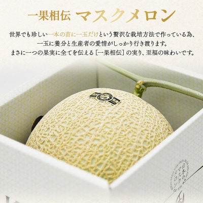メロン 訳あり 1玉入り 青肉 マスクメロン 家庭用 tn-0024