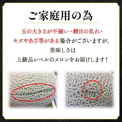 メロン 訳あり 1玉入り 青肉 マスクメロン 家庭用 tn-0024