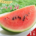 【2026年5月下旬より順次配送分】空中立体栽培 ルナ・ピエナスイカ(大玉) 1玉 yu-0010