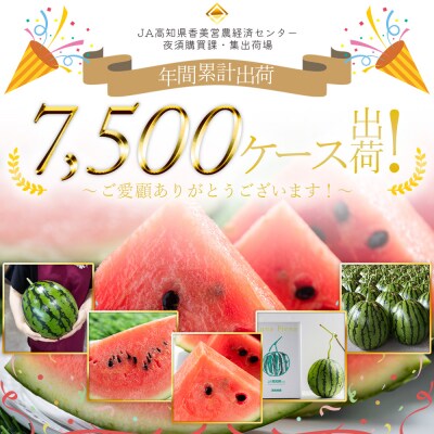 大玉 スイカ 1玉 5月下旬より発送 西瓜 大玉スイカ 贈答 ルナ・ピエナスイカ yu-0044