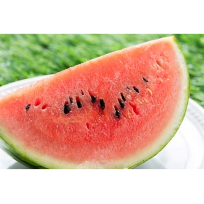 【2026年5月下旬より順次配送分】空中立体栽培 ルナ・ピエナスイカ(大玉) 1玉 yu-0044