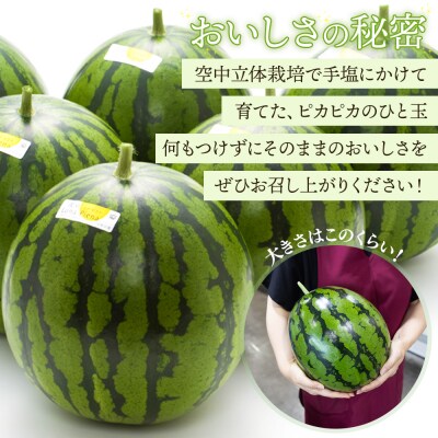 【2026年5月下旬より順次配送分】空中立体栽培 ルナ・ピエナスイカ(大玉) 1玉 yu-0044