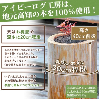 アイビーログ工房 土に還るプランター(丸太でできたプランター) ar-0010