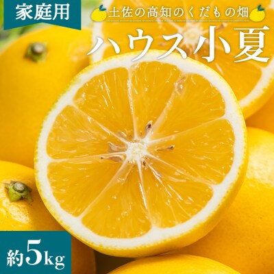 【2026年出荷分】ハウス小夏(日向夏)約5kg(家庭用) 土佐の高知のくだもの畑 kd-0030