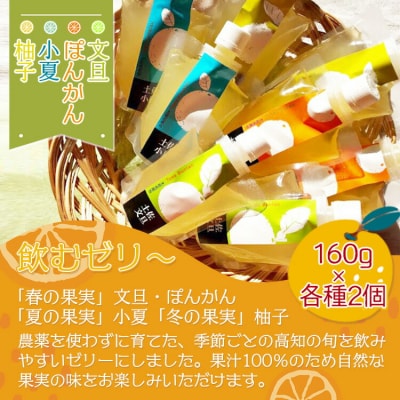 土佐の果実・飲むゼリー(8個セット) ts-0007