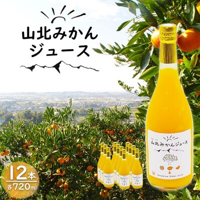 山北みかんジュース720ml12本 H-17