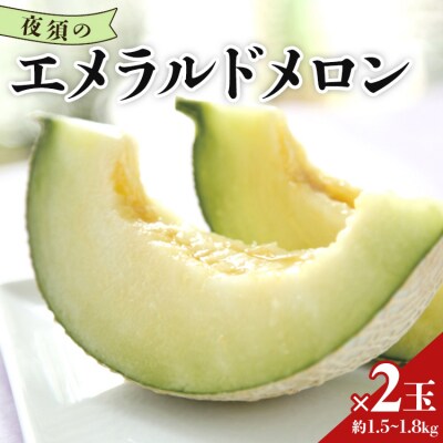 美しいネットとしっかり甘い果実 夜須のエメラルドメロン2玉 E-28