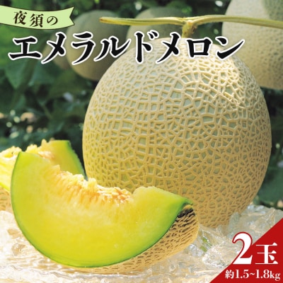 メロン2玉入り 夜須のエメラルドメロン 2玉 青肉メロン メロン 青肉 yu-0011