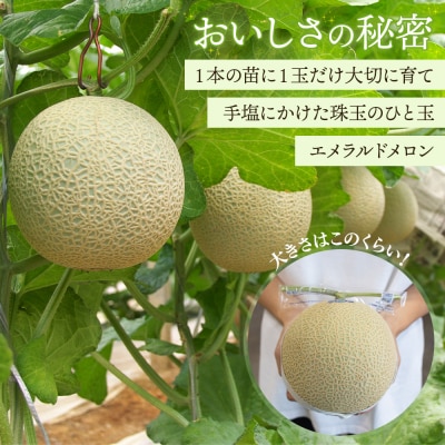 メロン2玉入り 夜須のエメラルドメロン 2玉 青肉メロン メロン 青肉 yu-0011