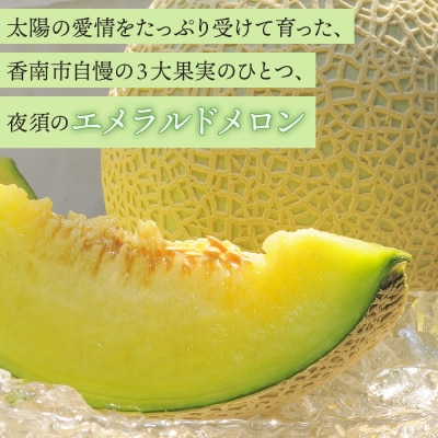 メロン2玉入り 夜須のエメラルドメロン 2玉 青肉メロン メロン 青肉 yu-0011