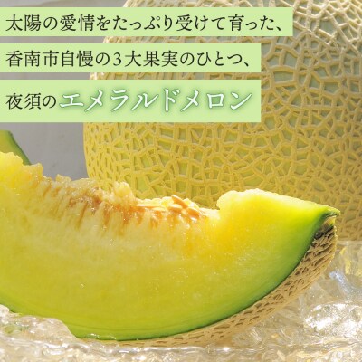メロン2玉入り 夜須のエメラルドメロン 2玉 青肉メロン メロン 青肉 yu-0011