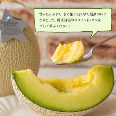 【発送開始】エメラルドメロン 2玉 yu-0025