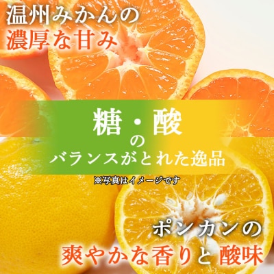 100%ストレートジュース (温州みかん×1本、みかんとポンカンのミックス×1本) ms-0048