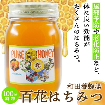 和田養蜂場 百花はちみつ(600g)2本 wh-0004
