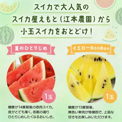 小玉スイカ 約4kg 糖度13～14前後 2玉  【期間限定】【7月発送】江本農園 em-0032