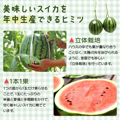 小玉スイカ 約4kg 糖度13～14前後 2玉  【期間限定】【7月発送】江本農園 em-0032
