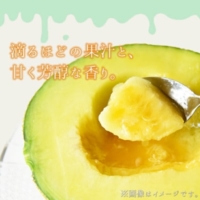 やすらぐマスクメロン for Relax(フォーリラックス) 1玉(1.5kg以上) yt-0003
