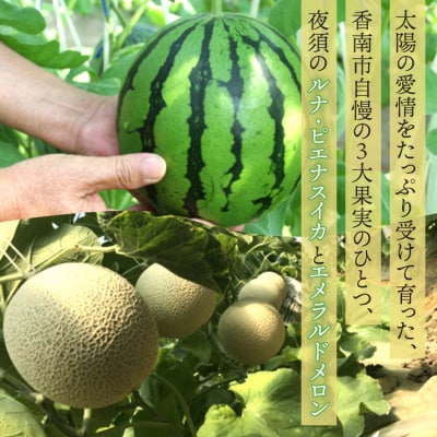 【先行受付】ルナ・ピエナスイカと夜須のエメラルドメロンセット 計2玉 yu-0046