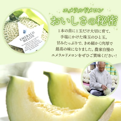 【先行受付】ルナ・ピエナスイカと夜須のエメラルドメロンセット yu-0015