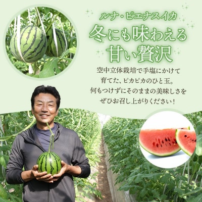 【先行受付】ルナ・ピエナスイカと夜須のエメラルドメロンセット 計2玉 yu-0046