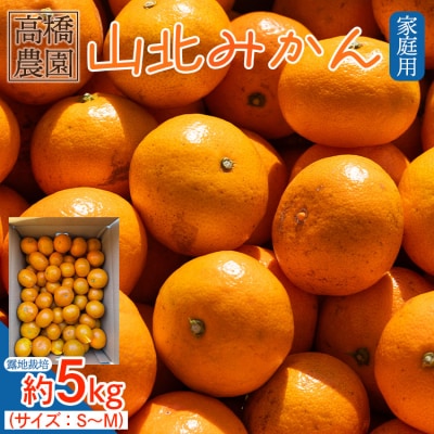 家庭用 山北みかん5kg露地(S～M) 高橋農園 th-0015