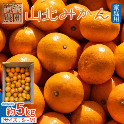 山北みかん5kg 家庭用 小玉 5キロ 糖度 甘い 人気 訳あり 果物 フルーツ th-0030