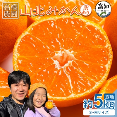 山北みかん5kg 家庭用 小玉 5キロ 糖度 甘い 人気 訳あり 果物 フルーツ th-0030