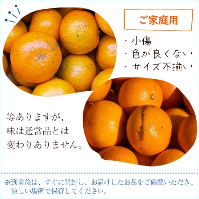 家庭用 山北みかん5kg露地(S～M) 高橋農園 th-0015