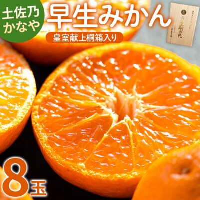 早生みかん(立皇嗣の礼の刻印入桐箱使用)8玉 贈答用 11月配送開始 土佐乃かなや be-0066