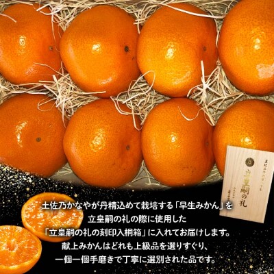 早生みかん(立皇嗣の礼の刻印入桐箱使用)8玉 贈答用 11月配送開始 土佐乃かなや be-0066