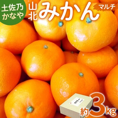 【年末配送可能】 山北みかん3kg be-0062