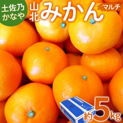 【2026年11月より順次配送】山北みかん5kg be-0109
