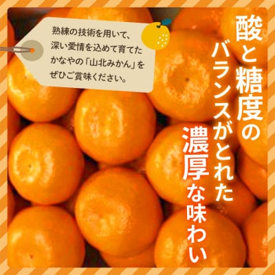 【2026年11月より順次配送】山北みかん5kg be-0109