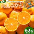 【令和7年度発送分】みかん5kg 山北みかん 温州みかん5kg 小玉 5kg ku-0043