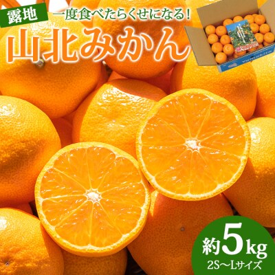 【令和8年10月下旬発送開始】高知県産 山北みかん5kg ku-0053