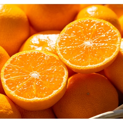 【令和8年10月下旬発送開始】高知県産 山北みかん5kg ku-0053