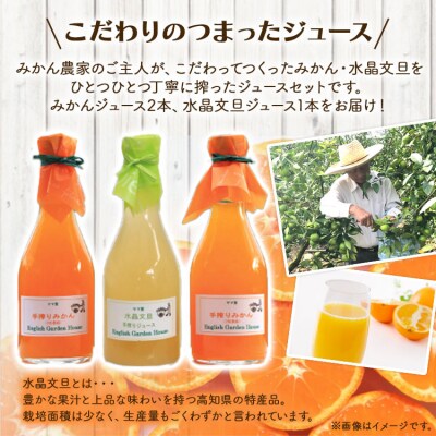 人気ローズガーデンの手搾りみかん・水晶文旦ジュース eh-0022